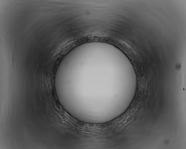 X0000100770774200806190932