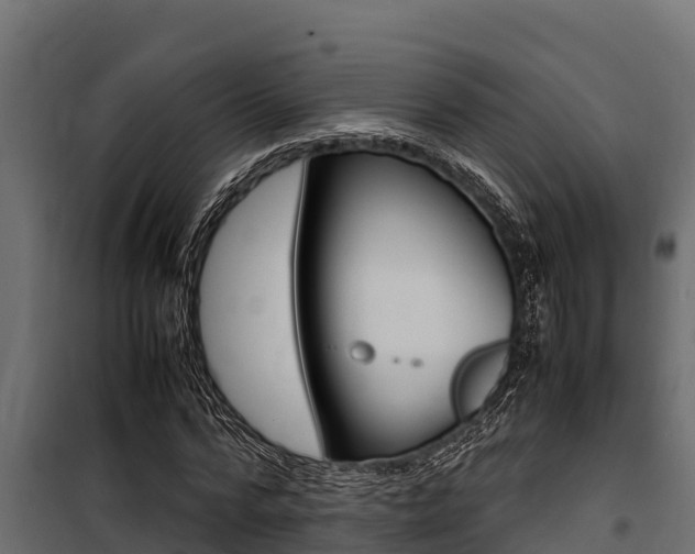 X0000100770776200806190932