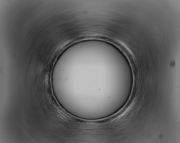 X0000100770777200806190932