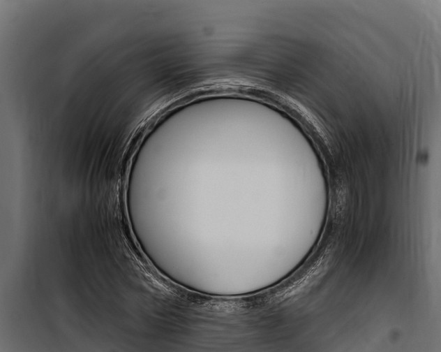 X0000100770778200806190932
