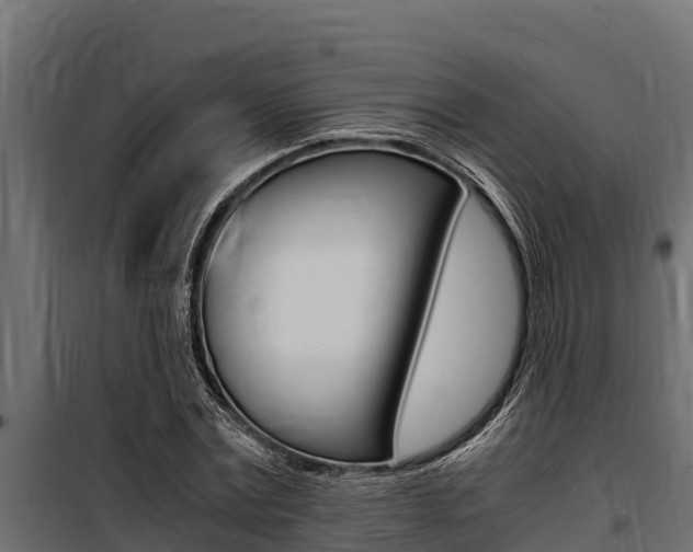 X0000100770779200806190932