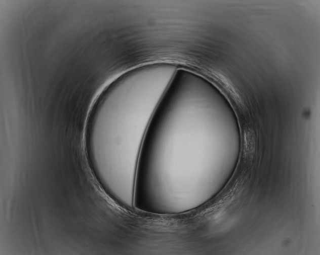 X0000100770780200806190932