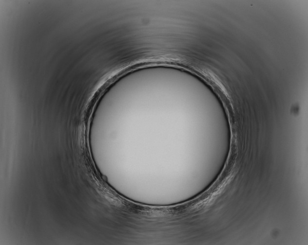 X0000100770781200806190932