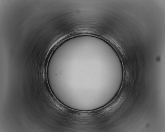 X0000100770782200806190932