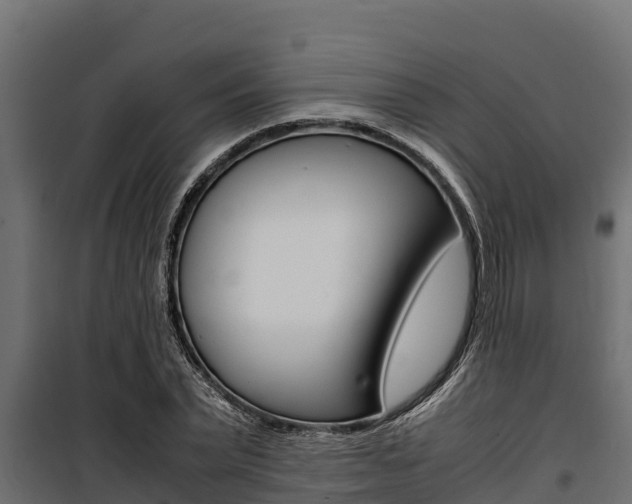 X0000100770783200806190932