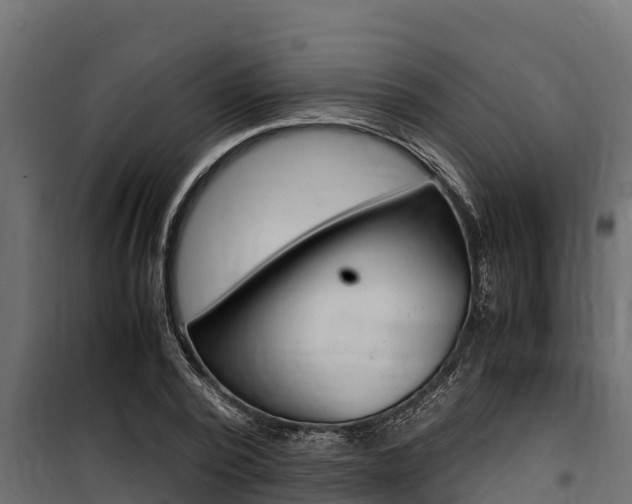 X0000100770784200806190932