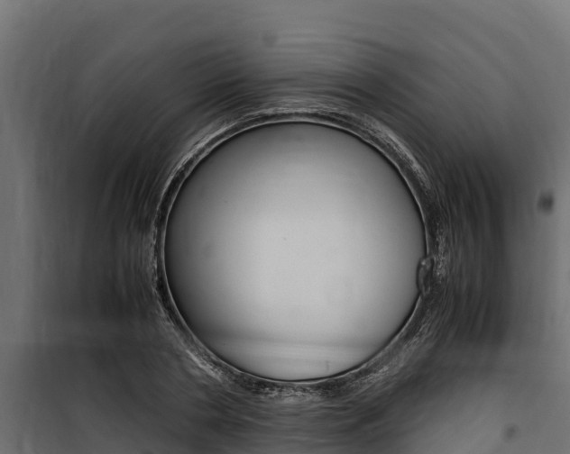 X0000100770786200806190932