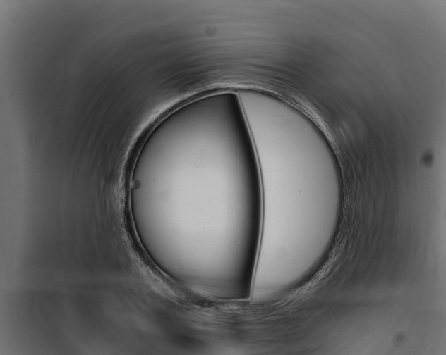 X0000100770787200806190932