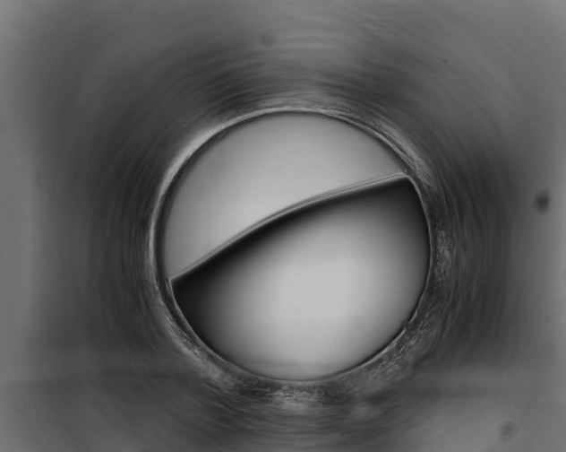 X0000100770788200806190932