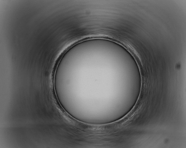 X0000100770789200806190931