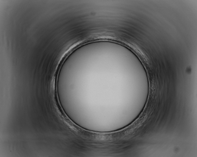 X0000100770790200806190931