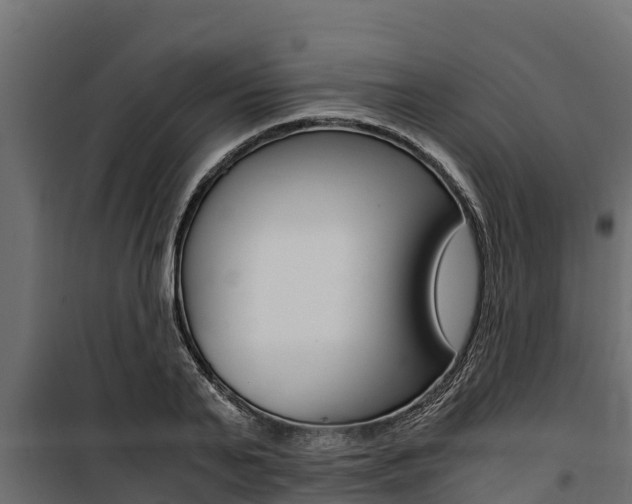 X0000100770791200806190931