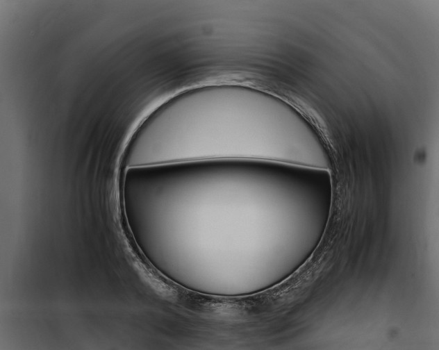 X0000100770792200806190931