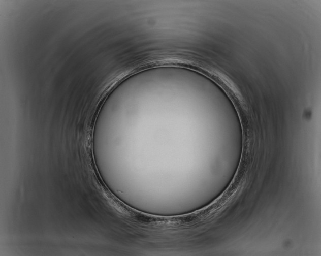 X0000100770793200806190931