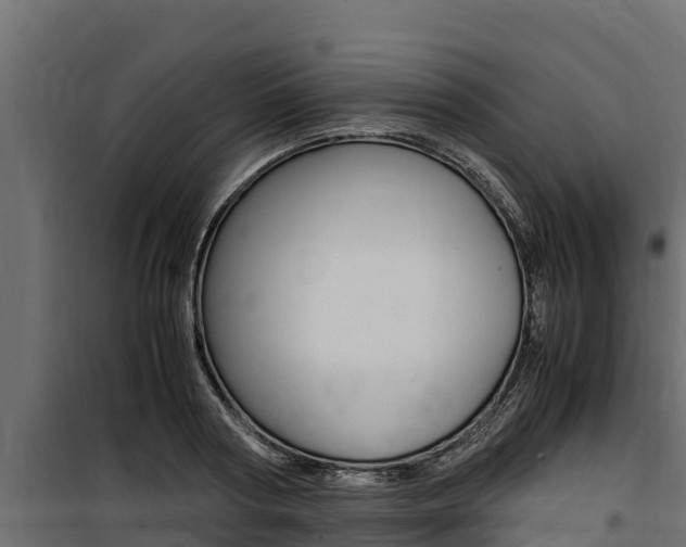 X0000100770794200806190931