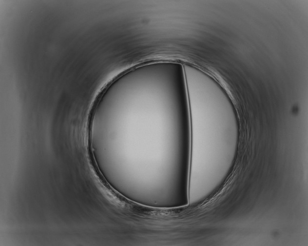 X0000100770795200806190931