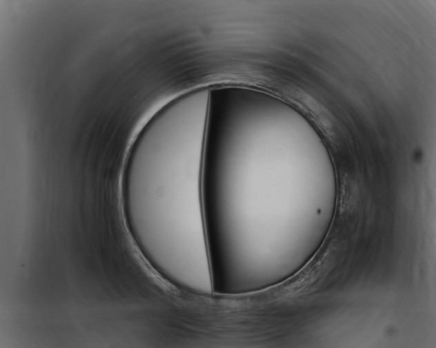 X0000100770796200806190931