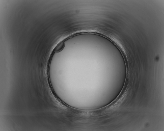 X0000100770797200806190931