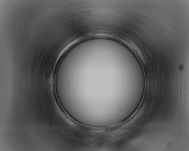 X0000100770798200806190931