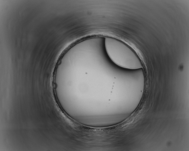 X0000100770799200806190931