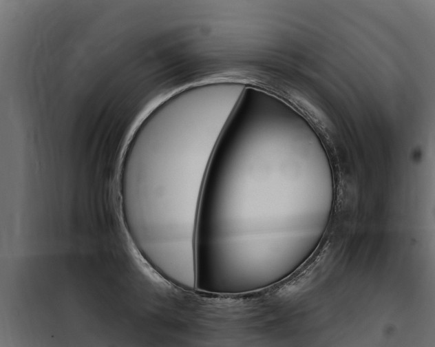 X0000100770800200806190931