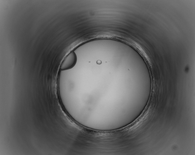 X0000100770802200806190931