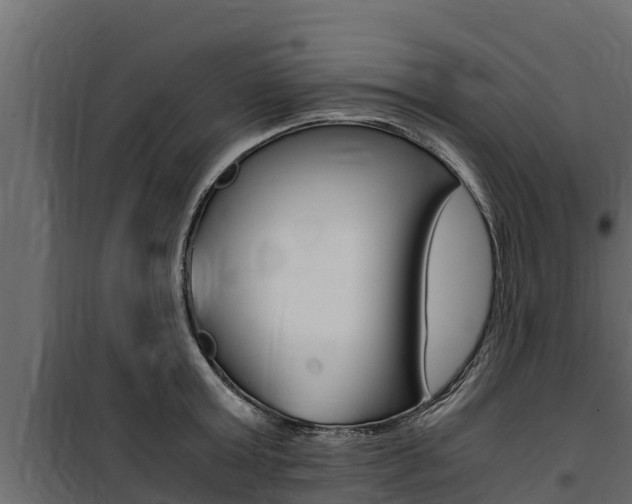 X0000100770803200806190931
