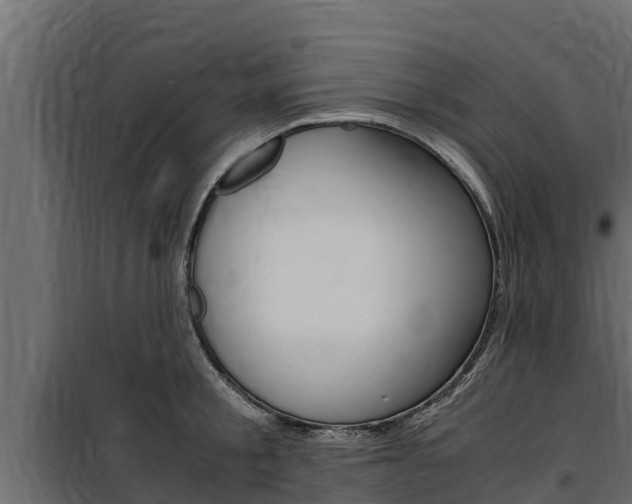 X0000100770805200806190931