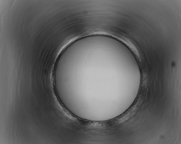 X0000100770806200806190931