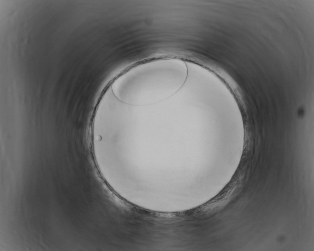 X0000100770807200806190931