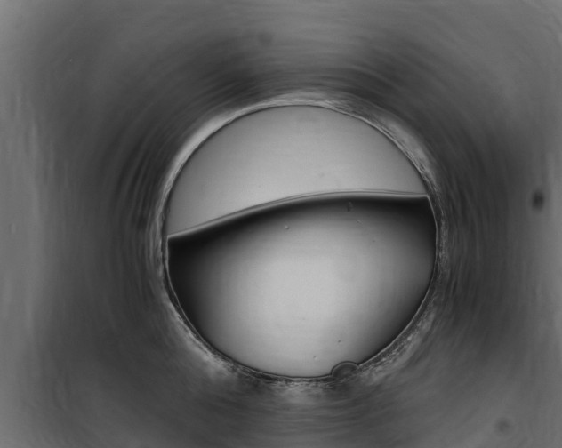 X0000100770808200806190931