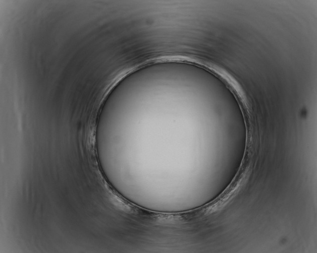 X0000100770809200806190931