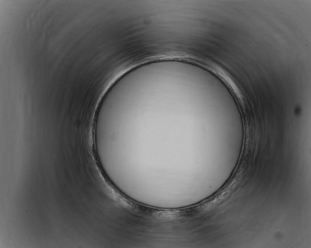 X0000100770810200806190931