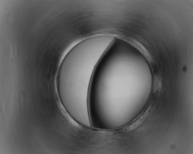X0000100770812200806190931