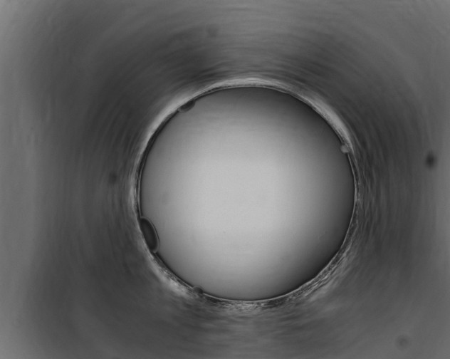 X0000100770813200806190931
