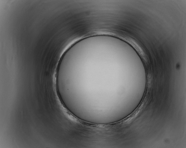 X0000100770814200806190931