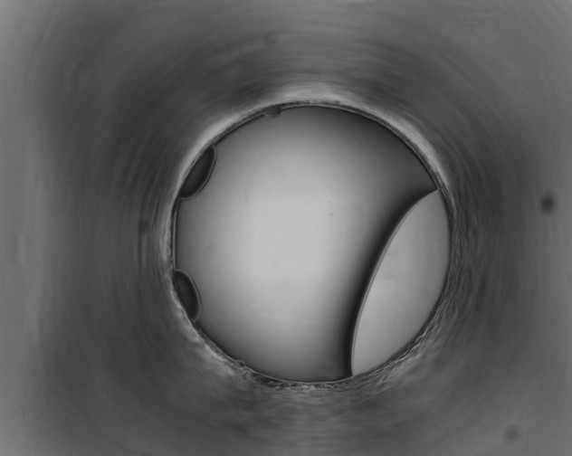 X0000100770815200806190931