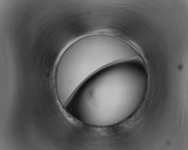 X0000100770816200806190931