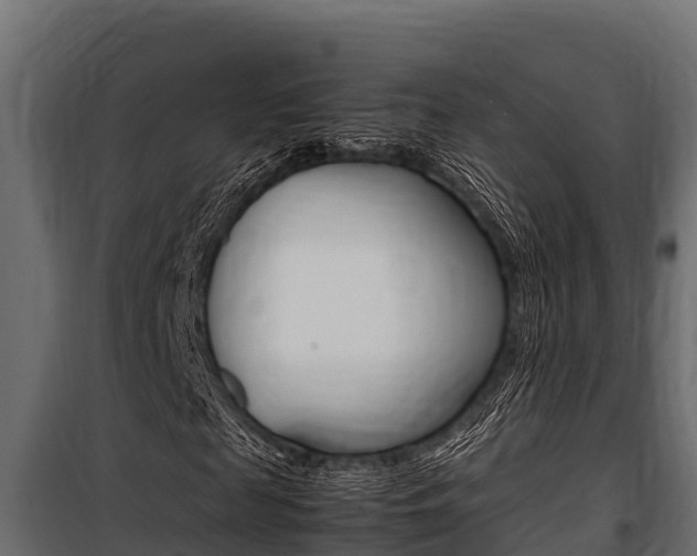 X0000100770817200806190930