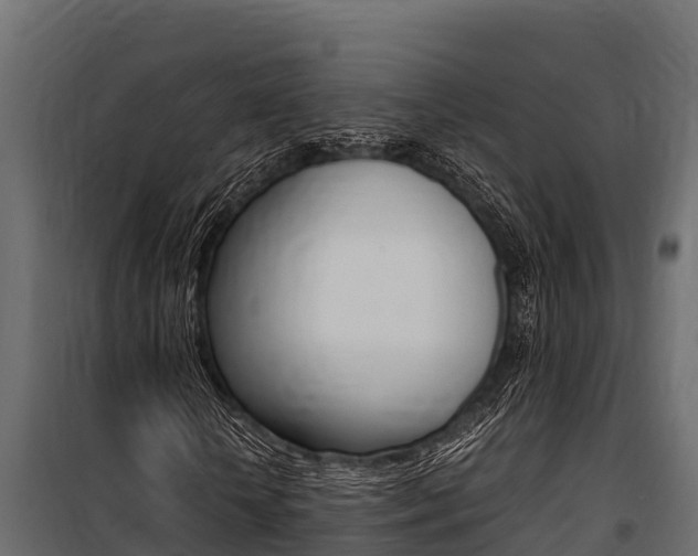 X0000100770818200806190930