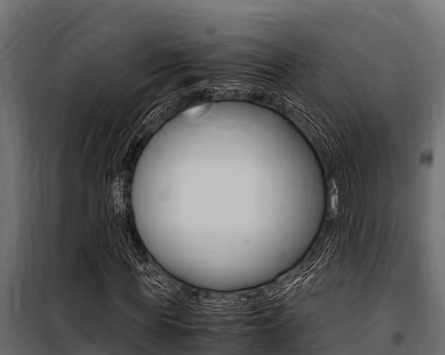 X0000100770819200806190930