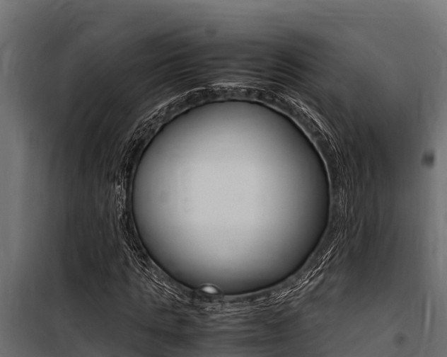 X0000100770821200806190930