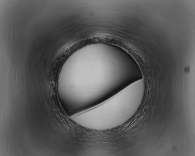 X0000100770822200806190930