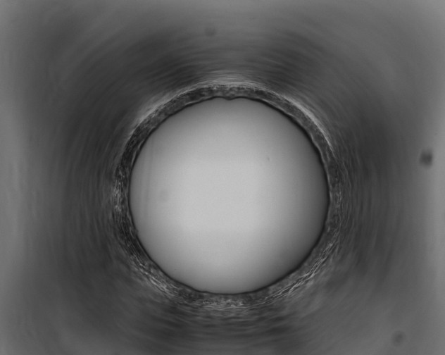 X0000100770823200806190930