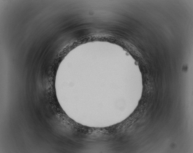 X0000100770824200806190930