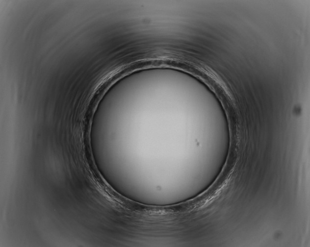 X0000100770826200806190931