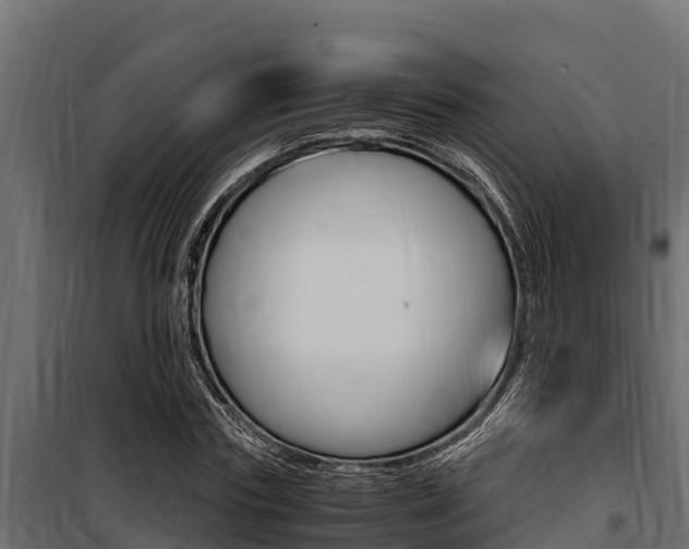 X0000100770827200806190931