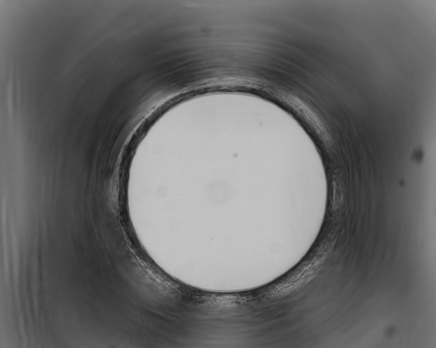 X0000100770828200806190931