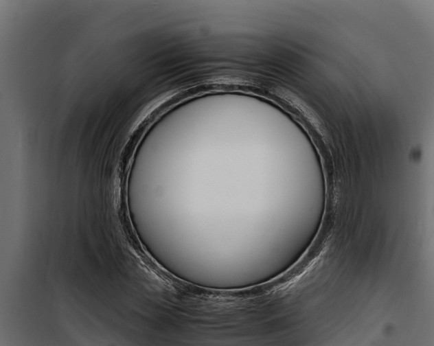 X0000100770829200806190931