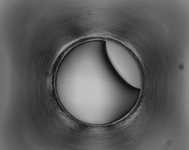X0000100770830200806190931